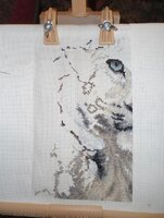 Леопард 27.05.2012.jpg