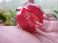 Изображение 1237.jpg