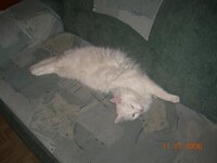 Изображение 070.jpg