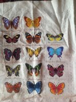 фотография (1).jpg