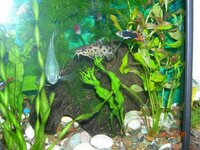 Изображение 078.jpg