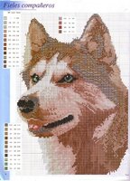 Diseдos de animales 0003.jpg