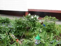 2016-06-14 13-32-28.jpg