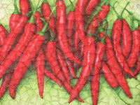 Изображение 031.jpg