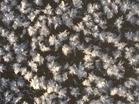 Фото 06.01.17, 13 54 29.jpg