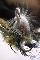 Before the Storm2.jpg