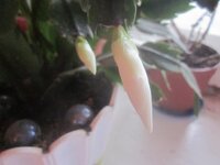 Изображение 509.jpg