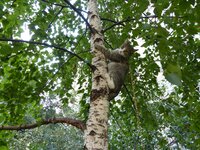 август 12 (16).jpg