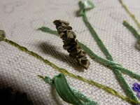 2014-05-27 18-02-44.jpg