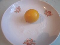 Изображение 661.jpg