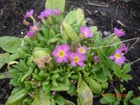 Изображение 008.jpg