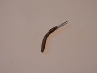 2016-01-30 19-32-52.jpg