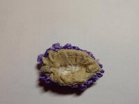 2016-01-30 20-01-56.jpg