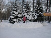 Доча под ёлками.jpg