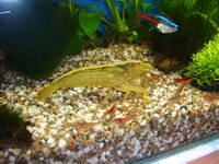 Изображение 196.jpg