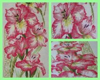 гладиолусы коллаж.jpg