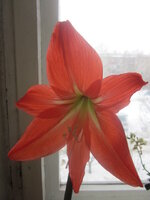 Изображение 32782.jpg