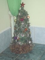 Изображение 312.jpg