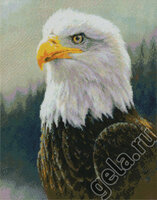 арт 73027. Белоголовый орлан.jpg