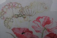 2014-03-04 08-06-22.jpg