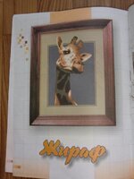 CIMG1125 (768x1024).jpg