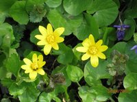 Изображение 023.jpg