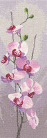 Heritage JCOR686 -Orchid Panel.jpg