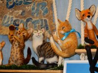 2015-10-22 14-34-04.jpg