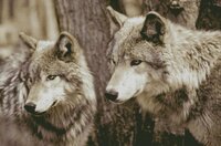 2016-02-21 03.51.47.jpg