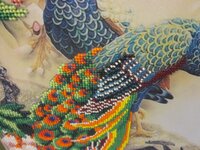 Изображение 1837.jpg