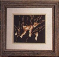 SCbk22 Wild and Free - Mountain Lion.jpg