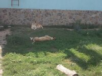 Изображение 014.jpg