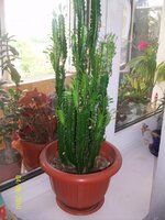 Последнее 022.jpg