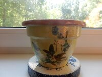 2016-06-01 08-40-16.jpg