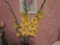 Изображение 31790.jpg