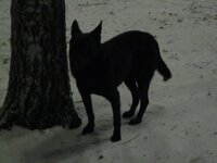 Изображение 2133.jpg