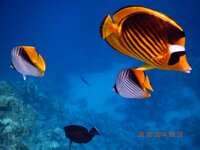 отдых 2014 май 806.jpg