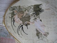 Цапли. Процесс.jpg