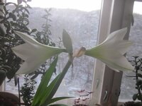 Изображение 256.jpg