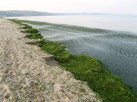 Изображение 076.jpg