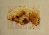 IMG_9376 копия.jpg