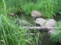 Изображение 110.jpg