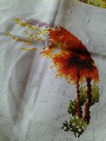 03 [Разрешение рабочего стола].jpg