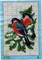 Снегирь 6.jpg