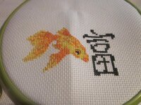 Изображение 2773.jpg