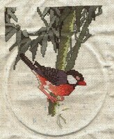 8сентября 2011.jpg