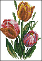 Тюльпаны 1.jpg