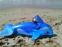 IMAG0163 [Разрешение рабочего стола].JPG