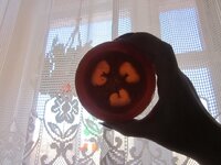 Изображение 32382.jpg