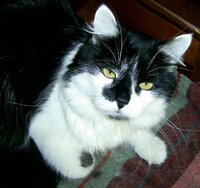 Изображение 046.jpg